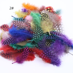 May include: A collection of colorful feathers in various shades, including red, orange, green, blue, and purple. Some feathers have a speckled pattern. The number "2#" is visible in the upper left corner. These feathers are suitable for crafts and decorative purposes.