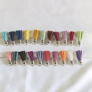 May include: Assortment of 20 colorful tassel charms with silver metal rings. The tassels are made of soft fabric and come in a variety of colors, including pink, blue, green, yellow, orange, red, purple, and white.