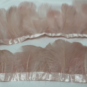 Può includere: Un primo piano di un bordino di piume rosa con un retro in nastro di raso. Il bordino è morbido e soffice, e sarebbe perfetto per aggiungere un tocco di eleganza a qualsiasi progetto.