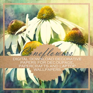 Coneflowers: floral decoupage paper/DIGITAL PAPERS for download, card-making, journals etc / 20 printable beautiful images for papercraft