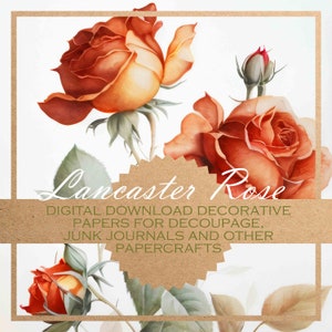Lancaster Rose: decoupage floral paper/DIGITAL PAPERS for download, card-making, journals etc / 20 red rose printable images for papercraft
