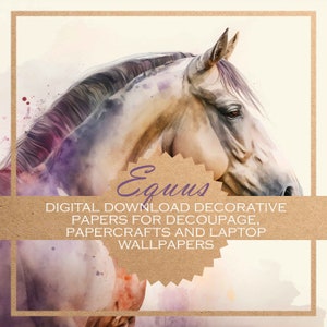 Equus: carta per decoupage di cavalli/ 20x bellissime CARTE DIGITALI per acquerelli per tutti i tipi di lavori artigianali in carta e sfondi digitali/stampabili