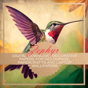 Zephyr: carta per decoupage colibrì/CARTA DIGITALE per download, creazione di cartoline, diari e altro / 20 bellissime immagini stampabili per creazioni con la carta