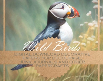 Oiseaux sauvages : papier de découpage 12x designs/ PAPIERS NUMÉRIQUES pour toutes sortes d'artisanat en papier, journaux et arrière-plans numériques/imprimables