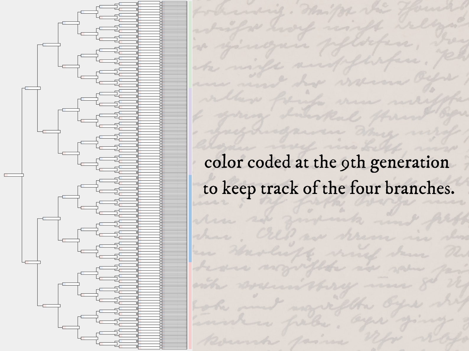 9 Generation Family Tree Spreadsheet Template for Google - Etsy