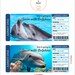 Printable SWIM With DOLPHINS Surprise Trip Tickets. Vacation Ticket ...