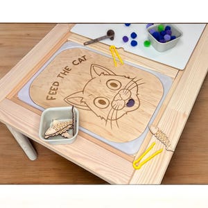 Feed the cat TROFAST Insert Educational Activities for Kids Sensory Games Insert for FLISAT Table Montessori