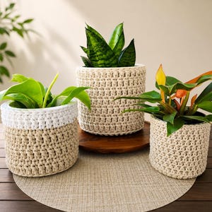 May include: Three cylindrical plant pots covered in textured crochet sleeves. The left pot has a white top rim and beige base, while the center and right pots are entirely beige. Each pot contains a green houseplant with distinct leaf shapes.