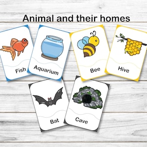 PDF Cartões de correspondência de animais e suas casas - Flashcards de animais para impressão - Cartões Montessori para impressão - Flashcard para impressão - Jogo de combinação