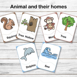 Afdrukbare dieren en hun huizen bijpassende kaarten - afdrukbare dieren-flashcards - afdrukbare Montessori-kaarten - afdrukbare flashcard