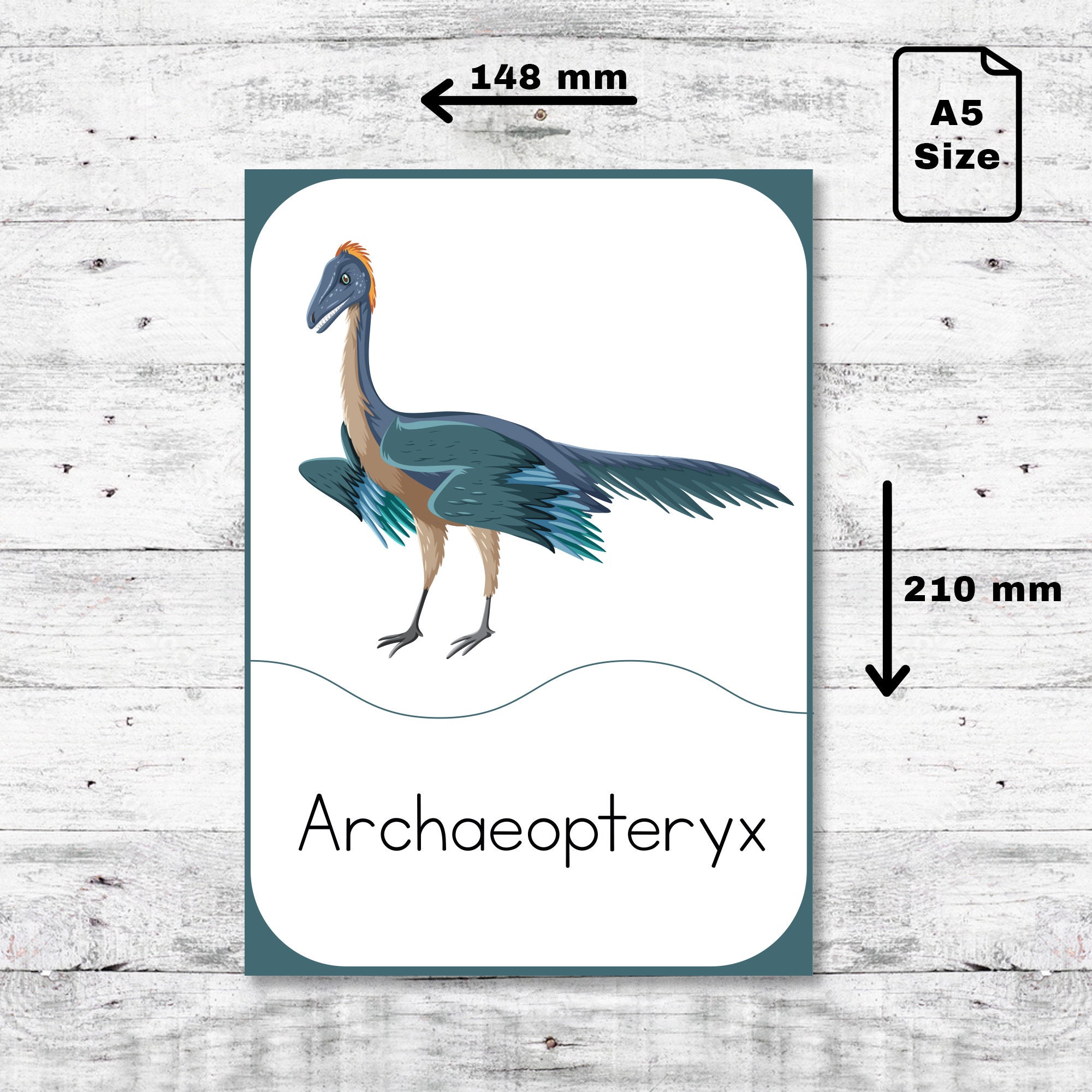 Dinosaur Flash Cards: Montessori Homeschool Printable (PDF Digital ...