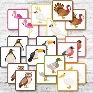 Juego de memoria Tarjetas imprimibles, Juguete de actividad educativa, Juego de memoria de educación en el hogar, Tarjetas de memoria