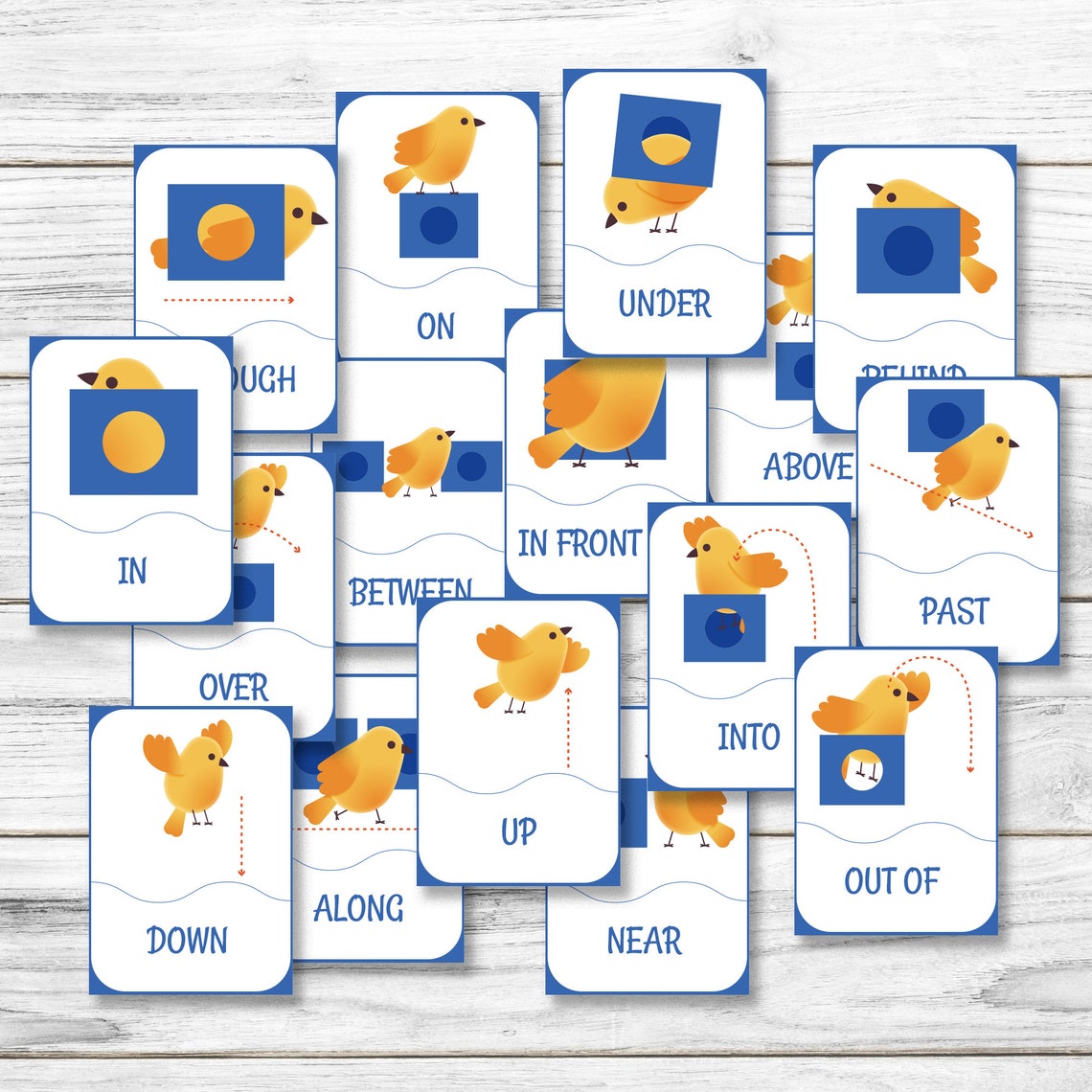 What Are Prepositions? | List, Examples & How to Use visual data 5