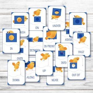 16 Präpositionen Digital druckbare Karteikarten, Präpositionen Montessori Karten, druckbare Positionskarteikarten, druckbare Karteikarten