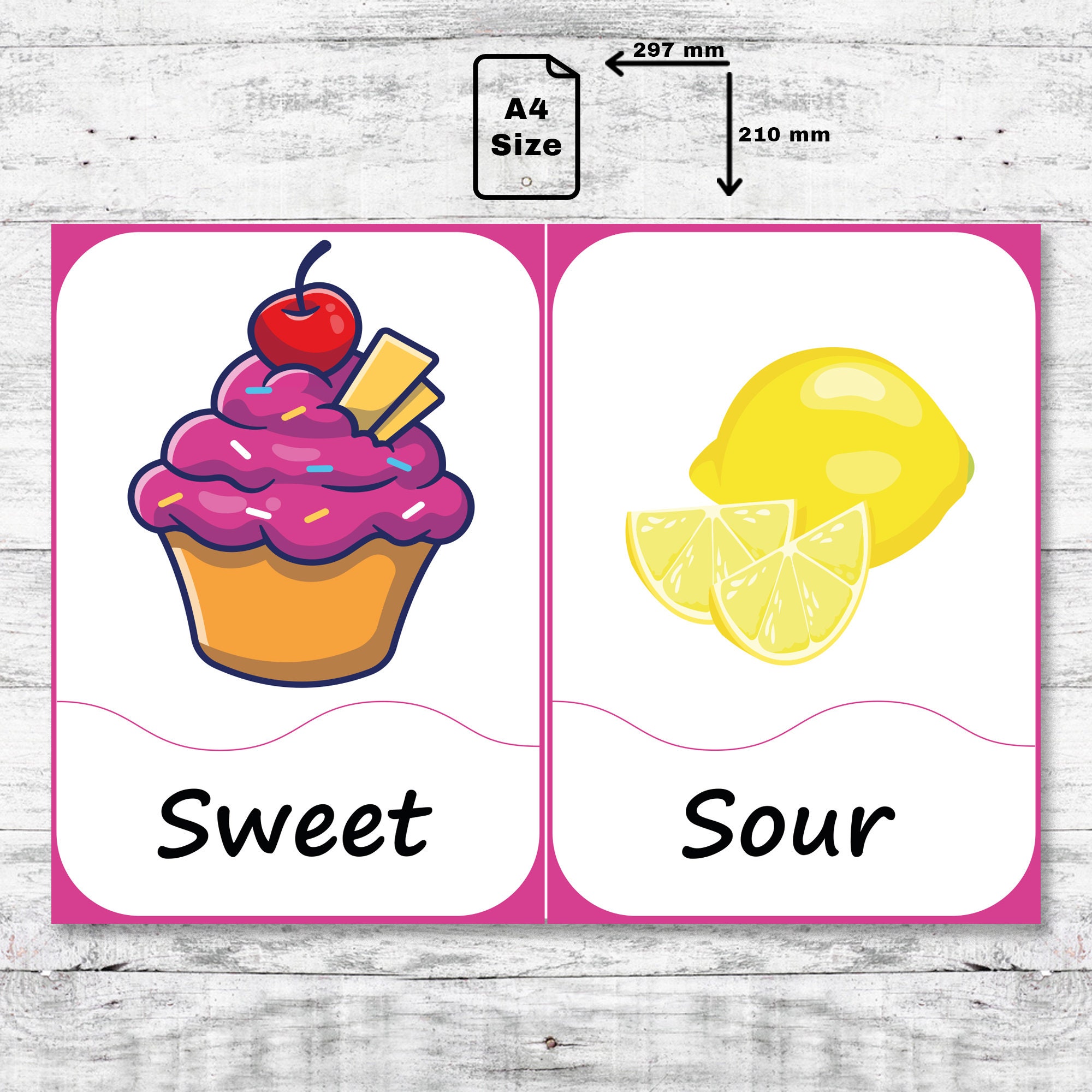 12 PDF A4 Digital Printable Opposites Matching Flash Cards, Printable ...