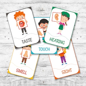 Carte Montessori stampabili digitali 5 sensi, materiale didattico, schede flash digitali 5 sensi, flashcard stampabili
