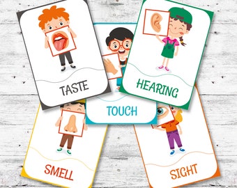 5 Senses Digital Printable Montessori Cards, Educational Material, 5 Senses Digital Flash Cards, Printable Flashcards