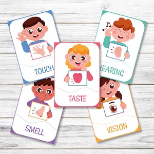Tarjeta flash imprimible de los 5 sentidos, tarjetas Montessori imprimibles digitales, material educativo, tarjetas flash digitales de los 5 sentidos, tarjetas didácticas imprimibles