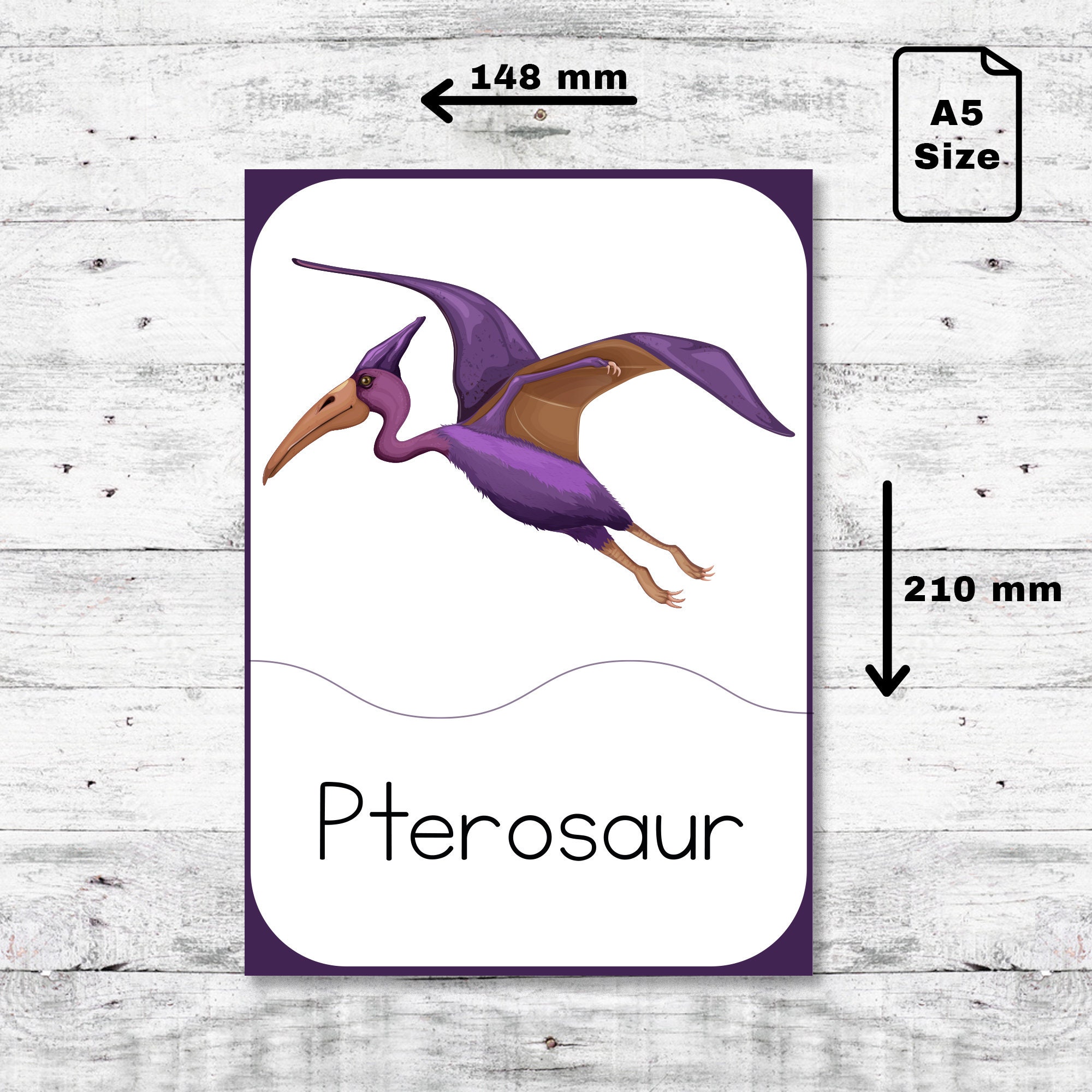 Dinosaur Flash Cards: Montessori Homeschool Printable (PDF Digital ...