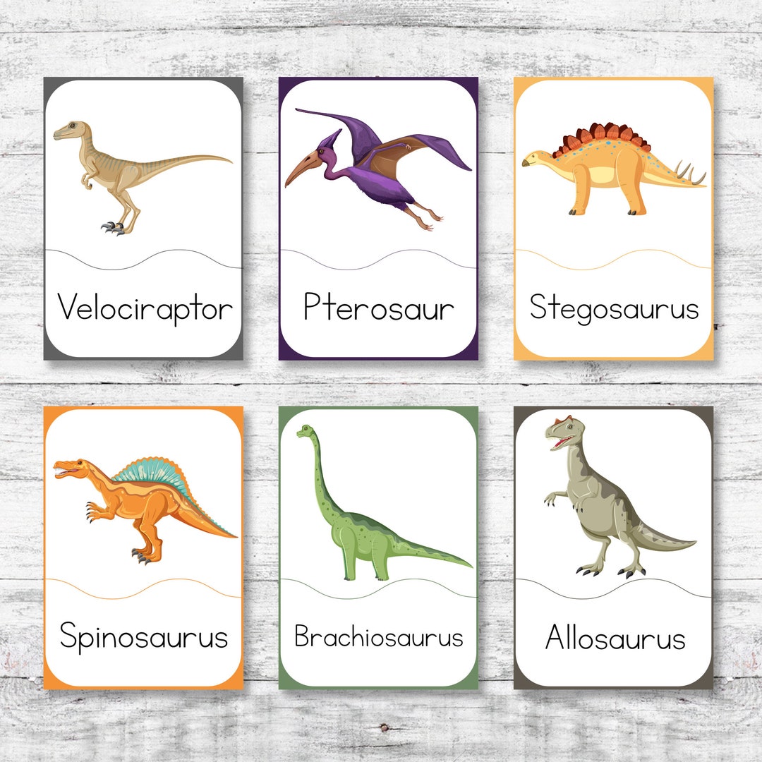 PDF Digital Printable Dinosaur Flash Cards, Printable Montessori