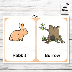 Animals and Their Homes Matching Cards - Printable Animals Flashcards ...