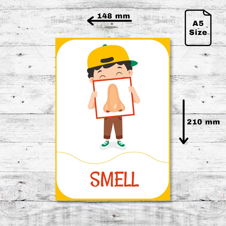 5 Senses Digital Printable Montessori Cards, Educational Material, 5 ...