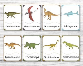 16 PDF Digital Printable Dinosaur Flash Cards, Printable Montessori Materials, Homeschool Preschool Toddler Flash Cards