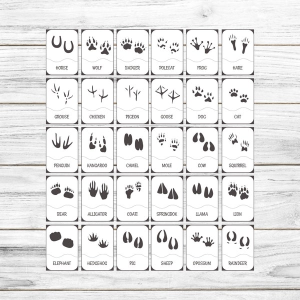 Animal Footprints - Etsy