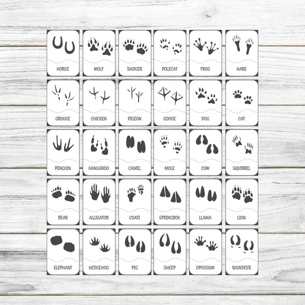 Printable Animal Footprints Flashcard - Printable Animals With Footprint - Printable Flashcard - Animal Tracks Clipart - Animal Paw Prints