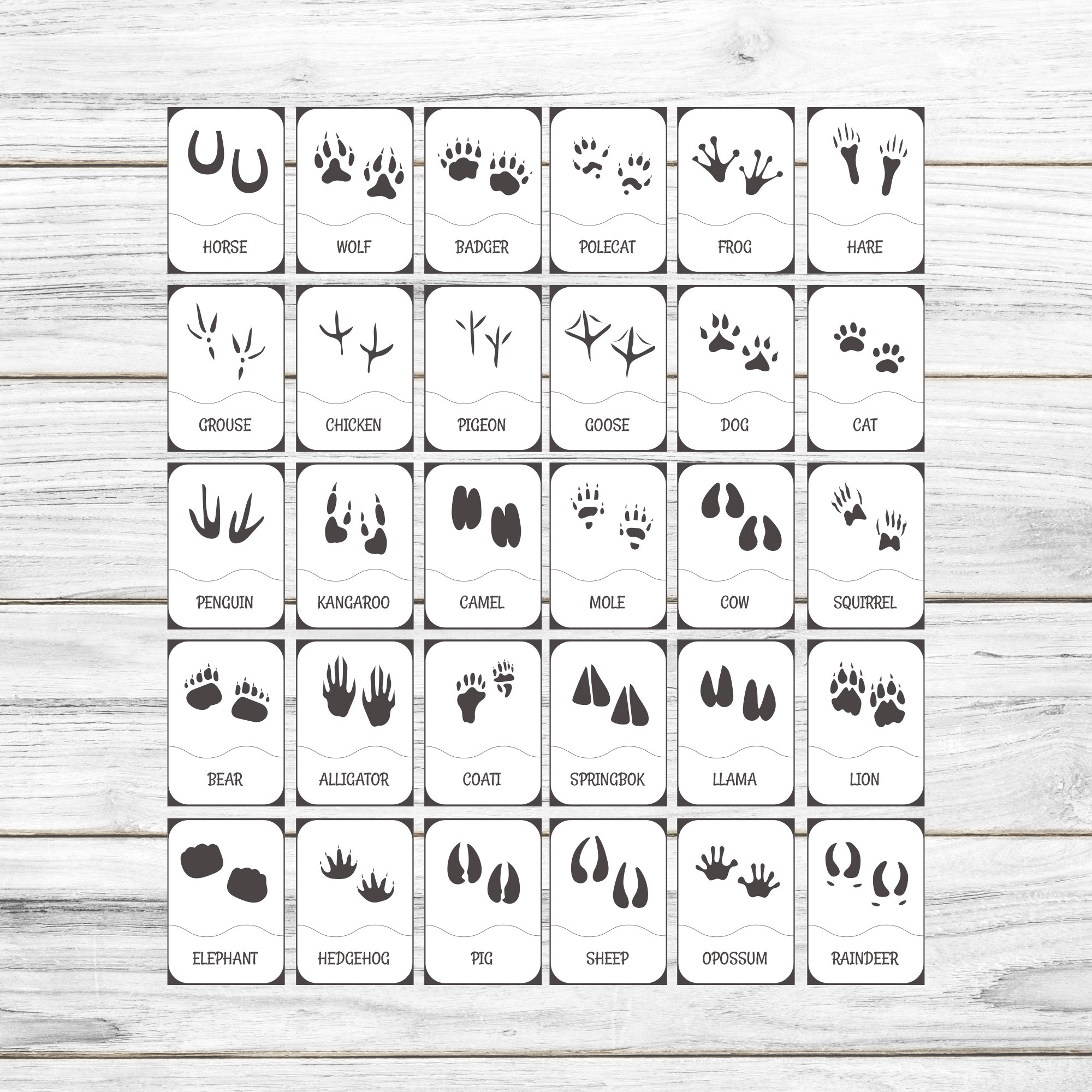 Printable Animal Footprints Flashcard Printable Animals With