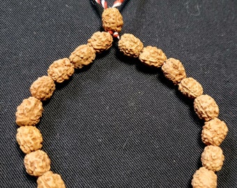 Bracelet of 24 real Rudraksha Mukhi/Faces 3 cord 3 colors