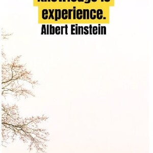 30 Motivational Quotes Videos. Canva Template. PLR Videos - Etsy