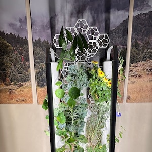 Vinescape Ultra Kit