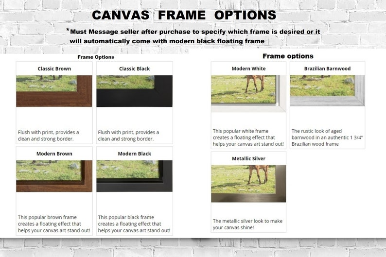 Northern Lights Over Apple Orchard Print, Buffalo New York, Olcott NY