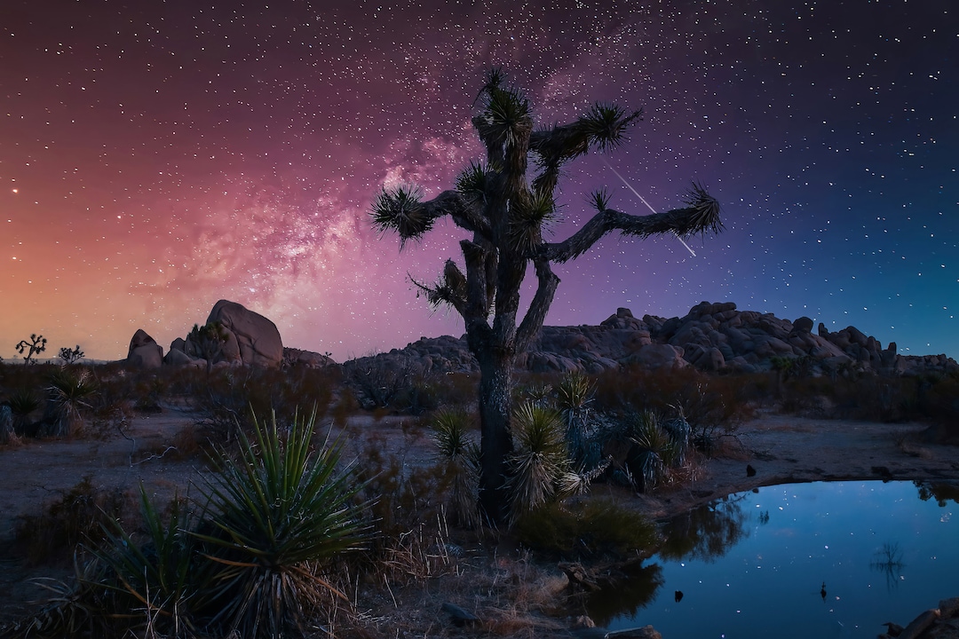 Milky Way Joshua Tree Photo Print: Desert Night Sky Starscape - Etsy