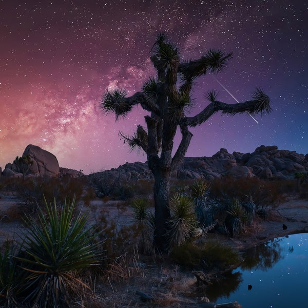 Stunning Milky Way Night Sky Photo Over Joshua Tree National Park - Astronomy Landscape Photography Print - Desert Starscape Wall Art Decor