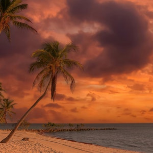 Florida beach sunset-Florida keys-Florida Beach canvas-Florida beach wall art-Coastal beach-Atlantic-Florida canvas/acrylic/metal/wall art