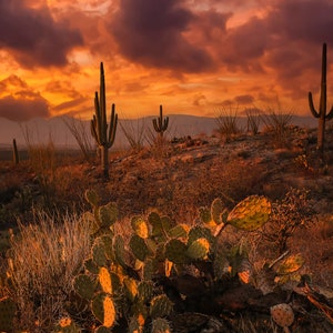 Arizona sunset canvas-Tuscon arizona print-Arizona canvas print-Desert sunset canvas-Best arizona print-arizona wall art print