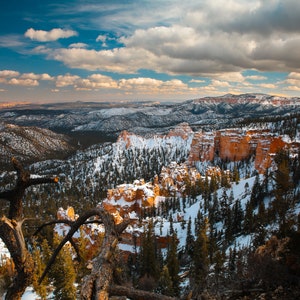 Bryce Canyon Red Rocks Utah Photo Print - Rustic Desert Landscape Wall Art - Nature Photography - Tranquil Winter Scenery Wall Decor