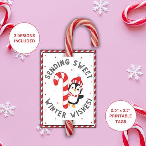 Cadeaukaartjes voor snoephouder | Candy Cane-cadeau voor klasgenoten | Tags winterwensen snoepriet| Feestbedankje voor in de klas