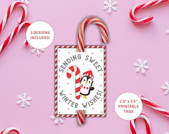 Etiquettes cadeaux pour porte-cannes en bonbon | Cadeau de canne en bonbon pour camarades de classe | Étiquettes Winter Wishes en canne de bonbon| Cadeau pour la salle de classe