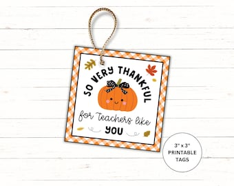 So Very Thankful for Teachers Like You Fall Gift Tag, Fall Teacher Appreciation Printable, Autumn Gift Tag, Fall Themed Goodie Bags