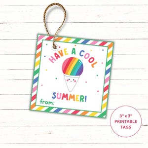 May include: A square gift tag with a colourful striped border and a gold string. The tag features a rainbow snow cone graphic with the words "Have a Cool Summer!" and "from:" printed on it. The tag measures 7.6 cm x 7.6 cm.