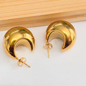18K Gold Plated Chubby Earrings  Gift For Herr