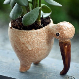 Bird planter, Ceramic succulent pot, Cute small plant pot, Home decor, Handmade flower pot for small house plants,Kiwi planter, Kiwi bird image 1