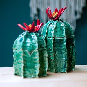 Ceramic sugar bowl, cactus fan box, sugar box, kitchen accesories for plantlover, plant addict, Cactus and succulent decoration