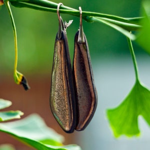 Könnte beinhalten: Ein Paar braune und goldene Ohrringe in Tropfenform, die an einem Zweig mit grünen Blättern hängen.
