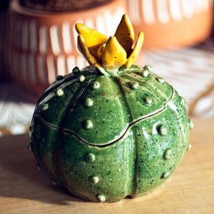 Könnte beinhalten: Eine grüne Keramik-Schmuckschatulle in Form eines Kaktus mit einer gelben Blüte obenauf. Die Schachtel hat eine gesprenkelte grüne Glasur und eine strukturierte Oberfläche.