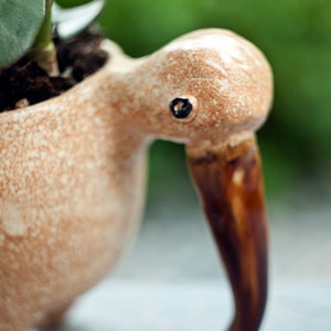 Bird planter, Ceramic succulent pot, Cute small plant pot, Home decor, Handmade flower pot for small house plants,Kiwi planter, Kiwi bird image 3