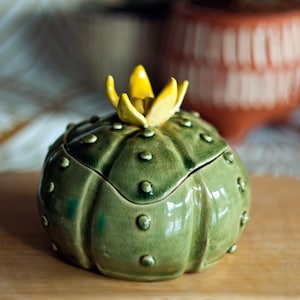 Può includere: Un contenitore in ceramica verde a forma di cactus con un fiore giallo in cima. Il contenitore ha un coperchio ed è decorato con piccoli punti marroni.